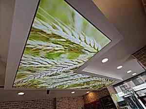 Barisol gergi tavan  modelleri