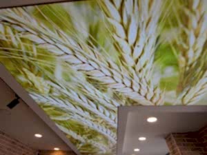 �kitelli gergi tavan montaj�