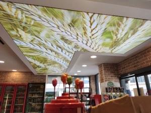 Barisol gergi tavan  modelleri