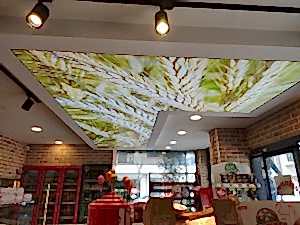 Barisol gergi tavan  modelleri