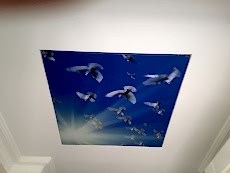 Giresun gergi tavan �retim merkezi fiyatlar�