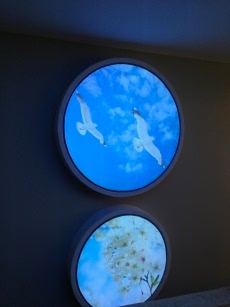 Ordu gergi tavan malzemesi �retimi m2 fiyatlar�