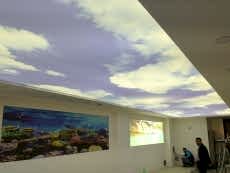 Lake gergi tavan modelleri