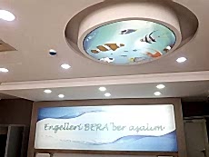 Barisol gergi tavan  modelleri