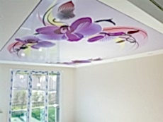 Lake gergi tavan modelleri