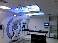 Lake gergi tavan modelleri