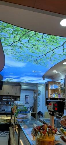 Barisol gergi tavan  modelleri