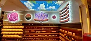 Barisol gergi tavan  modelleri