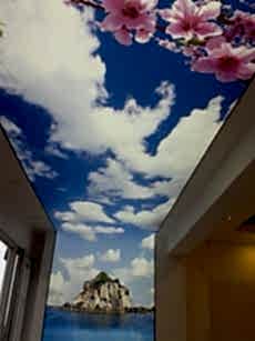 Barisol gergi tavan  modelleri