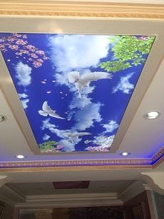 Barisol gergi tavan  modelleri