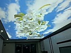 Barisol gergi tavan  modelleri