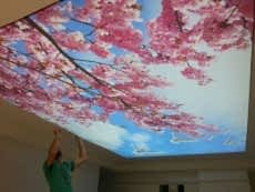 Barisol gergi tavan  modelleri