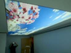 Barisol gergi tavan  modelleri