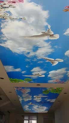 Barisol gergi tavan  modelleri