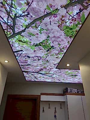 Lake gergi tavan modelleri