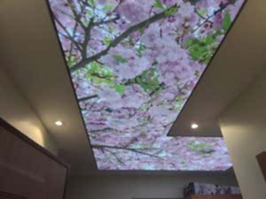 Lake gergi tavan modelleri