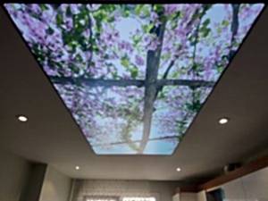 Lake gergi tavan modelleri