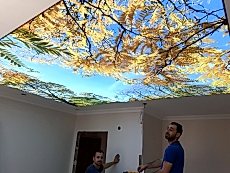 Lake gergi tavan modelleri