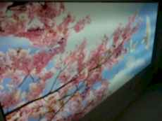 Lake gergi tavan modelleri