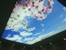 Lake gergi tavan modelleri