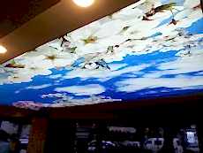 Lake gergi tavan modelleri