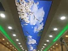 Lake gergi tavan modelleri