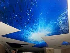 Lake gergi tavan modelleri