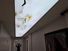 Lake gergi tavan modelleri