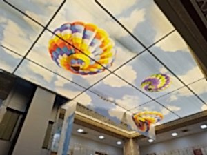 Barisol gergi tavan  modelleri