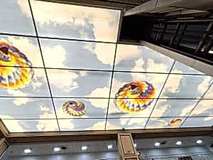 Barisol gergi tavan  modelleri