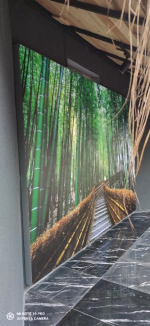 Barisol gergi tavan  modelleri