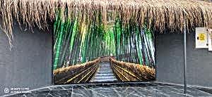 Barisol gergi tavan  modelleri