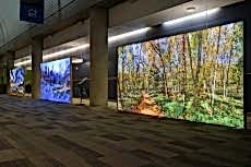 ���kl� ma�aza reklam panolar�  i� mekan