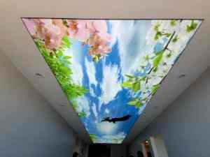 Barisol gergi tavan  modelleri