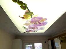 Transparan gergi tavan  modelleri