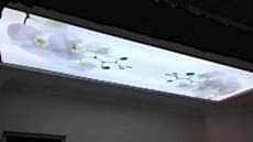 Transparan gergi tavan  modelleri