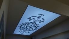 Barisol gergi tavan  modelleri