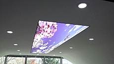 Barisol gergi tavan  modelleri