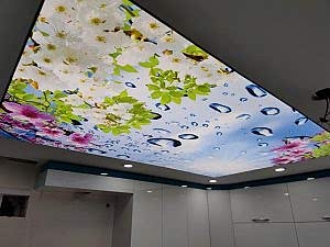 Barisol gergi tavan  modelleri