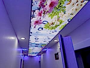 Barisol gergi tavan  modelleri