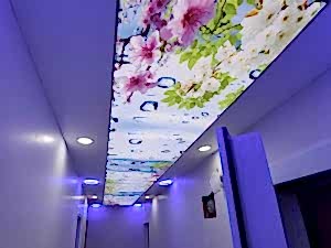 Lake gergi tavan modelleri