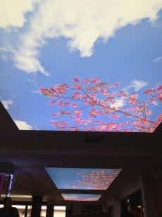 Lake gergi tavan modelleri