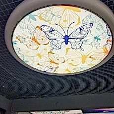 Haz�r Gergi tavan Ayd�nlatma modelleri