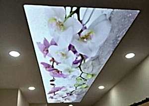 Lake gergi tavan modelleri