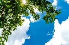 A�A� RES�MLER� gergi tavan modelleri