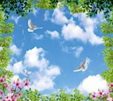 Ku� Resimleri gergi tavan modelleri