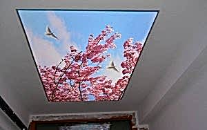 GERG� TAVAN NED�R ?