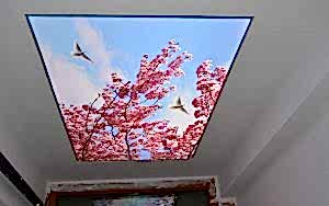 GERG� TAVAN GENEL �ZELL�KLER�