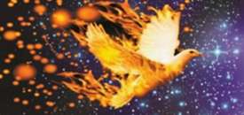 Gergi tavan profil montaj� nas�l yap�l�r?