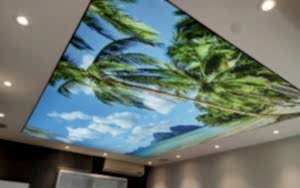 Neden Gergi Tavan Yap�l�r?